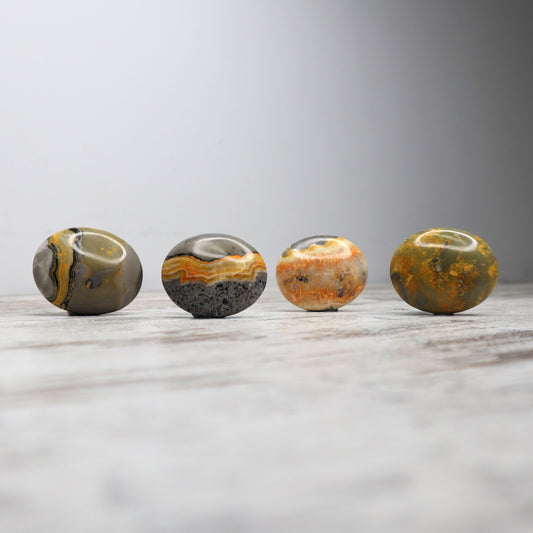 Bumblebee Jasper Palmstones