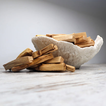 Palo Santo + Black Tourmaline Cleansing Bundle