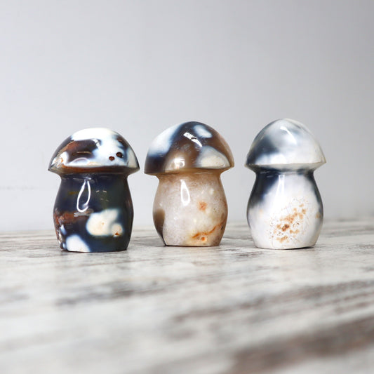 Orca Agate Mushrooms