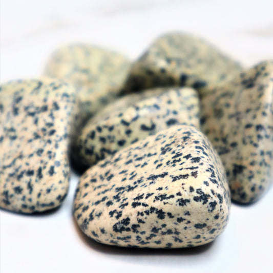 Dalmatian Jasper Tumble Stone