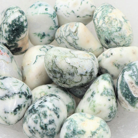 Tree Agate Tumble Stone